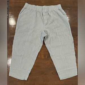 EUC Madewell Gauze Pants 1x